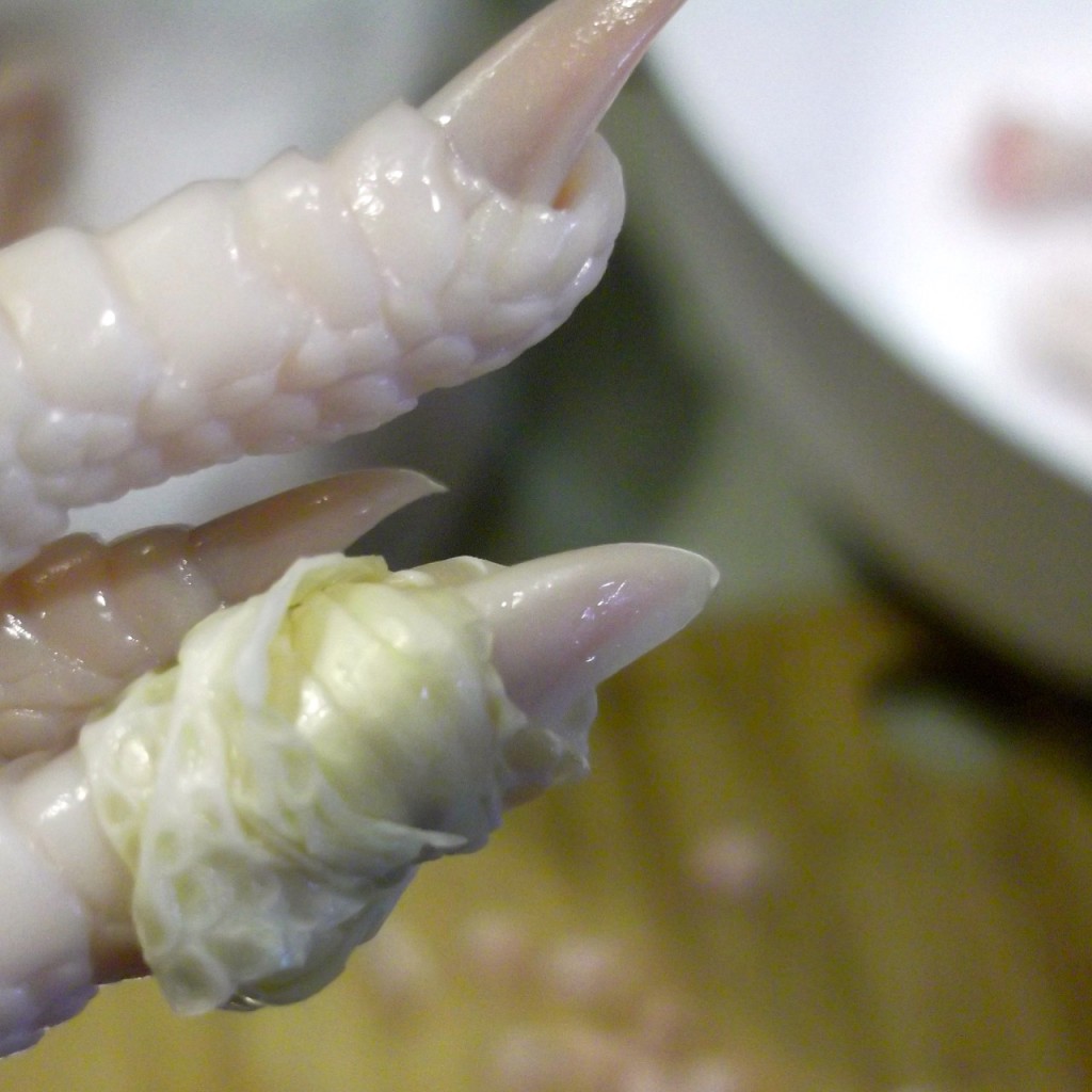 chicken feet claws